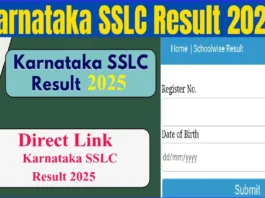 Karnataka SSLC Result 2025 (प्रतीकात्मक तस्वीर)