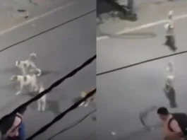 Amritsar Viral Video