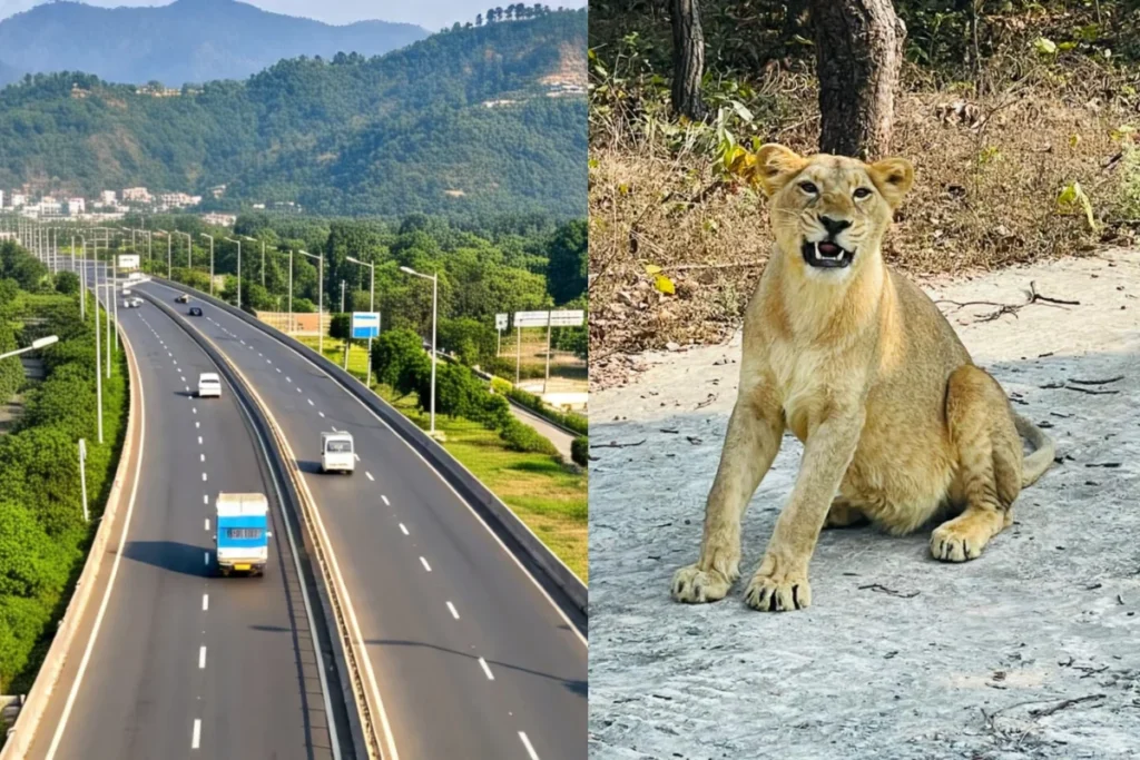 Delhi Dehradun Expressway