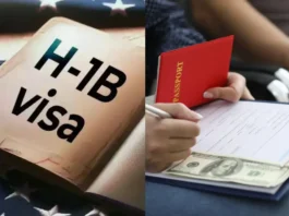 H-1B Visa