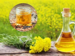 Mustard Oil