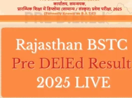 Rajasthan BSTC Pre DElEd Result 2025