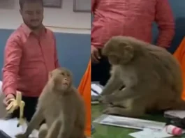 Saharanpur Viral Video