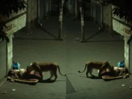 Viral Video