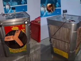 Viral Video