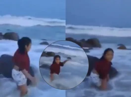 Viral Video
