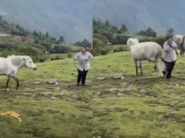 Viral Video