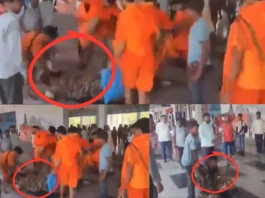 Mirzapur Viral Video