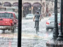 Monsoon Alert 19 July 2025