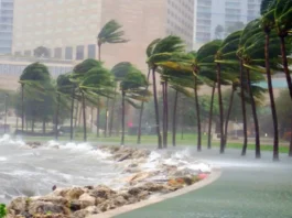 Monsoon Alert 20 July 2025