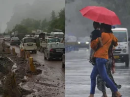 Monsoon Alert 8 July 2025