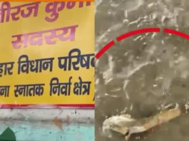 Patna Viral Video