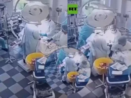 Russia Viral Video