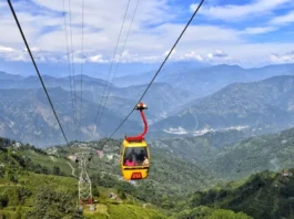 Uttarakhand News