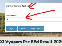 Chhattisgarh Pre B.Ed Exam 2025 Result (प्रतीकात्मक तस्वीर)