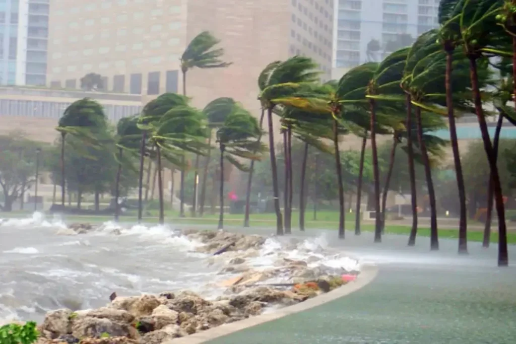 कल का मौसम 24 Aug 2025