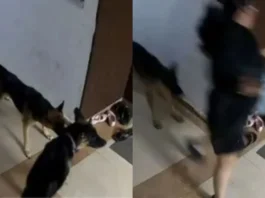 Ghaziabad Viral Video