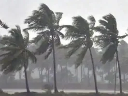 Monsoon Alert 3 Aug 2025
