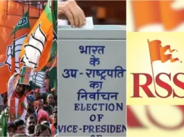 Vice President Election