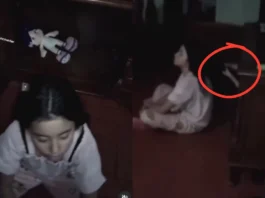 Viral Video