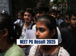 NEET PG Result 2025 (प्रतीकात्मक तस्वीर)