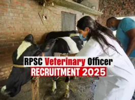 RPSC Veterinary Officer Recruitment 2025 (प्रतीकात्मक तस्वीर)
