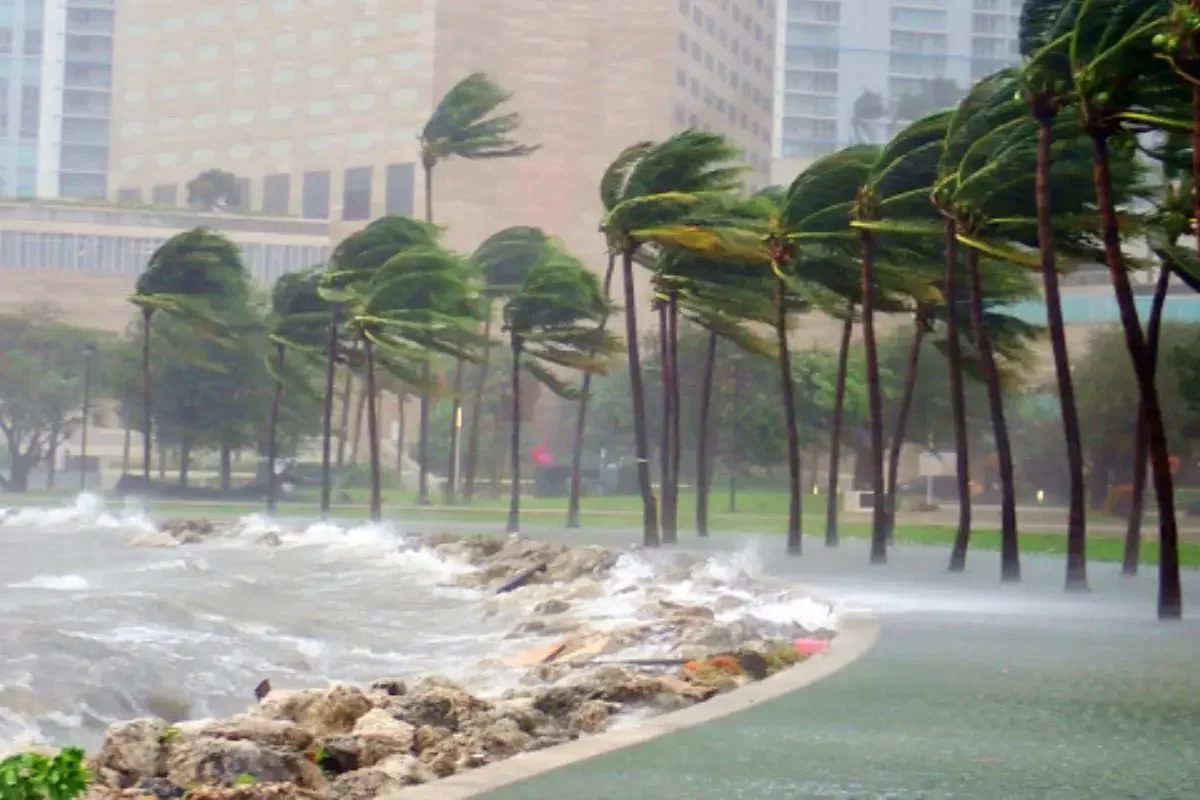 कल का मौसम 24 Aug 2025