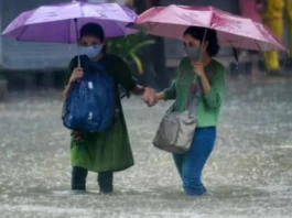 Delhi NCR Weather Update