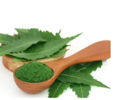 Neem Ke Patte