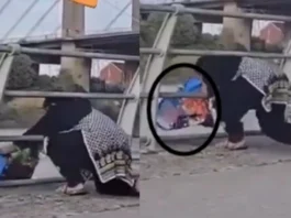 Pakistani Viral Video