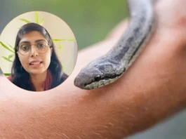 Snake Bite