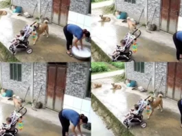 Viral Video