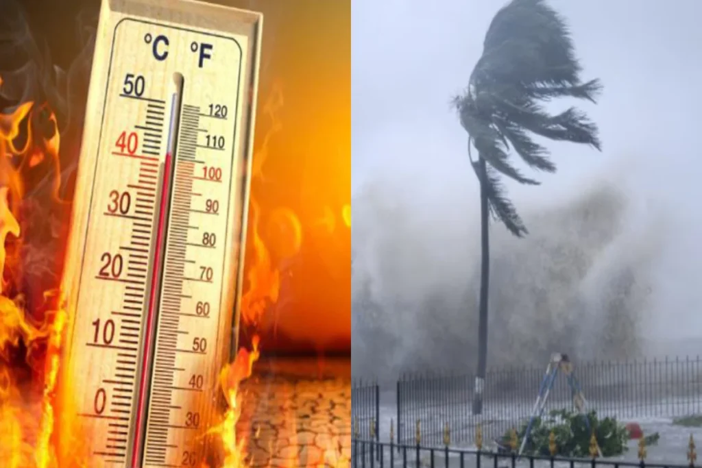 कल का मौसम 11 Oct 2025