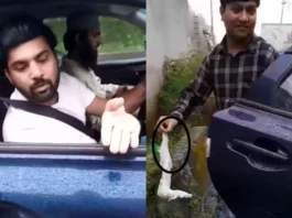 Darjeeling Viral Video