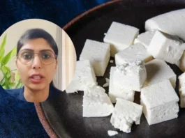 Fake Paneer