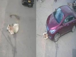 Jhansi Viral Video
