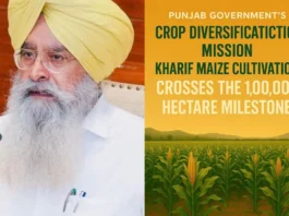 Punjab News