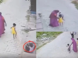 Viral Video