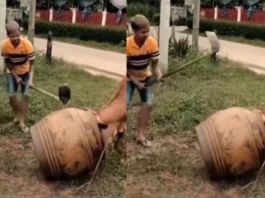 Viral Video
