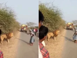 Viral Video