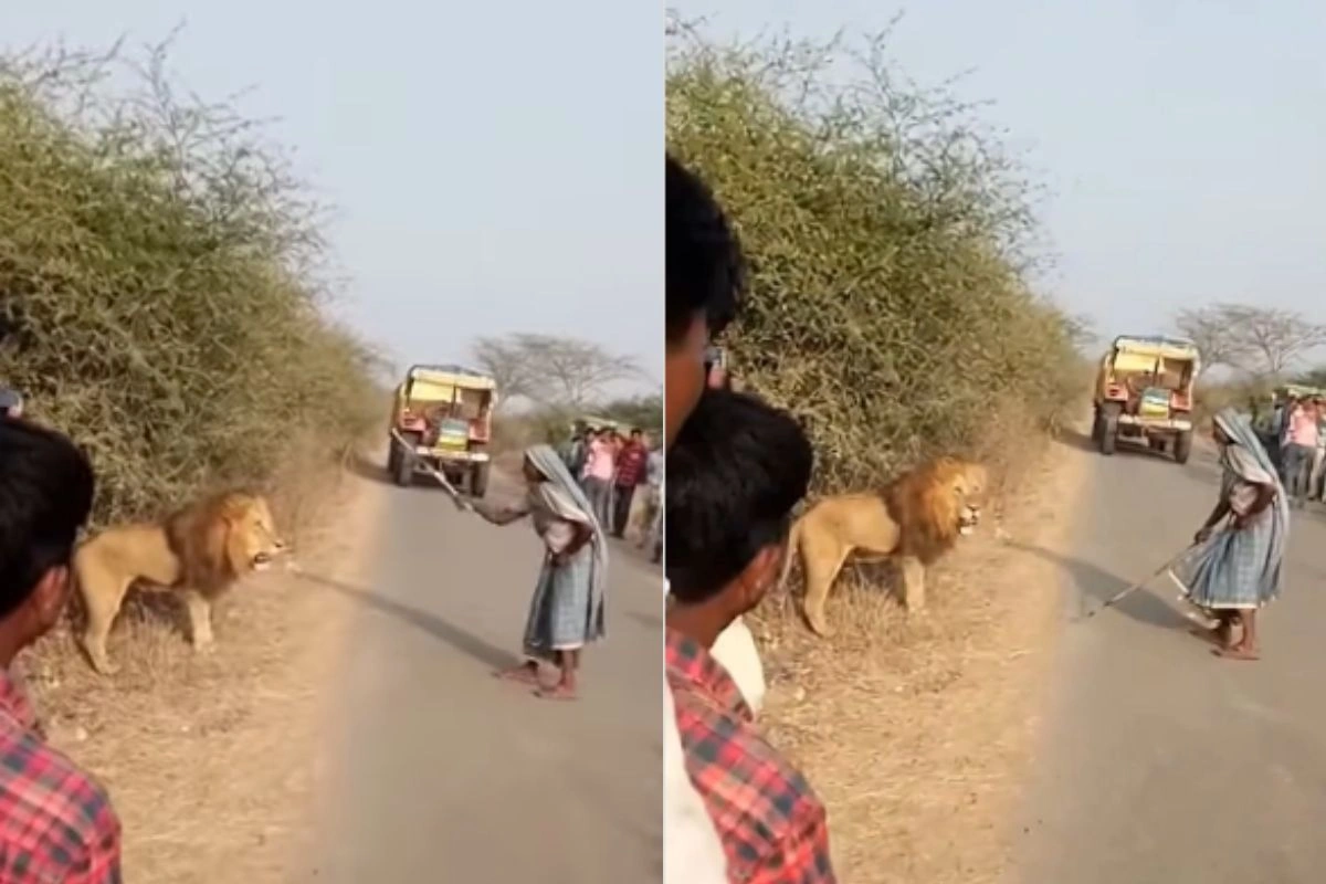 Viral Video Viral Video