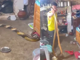 Viral Video