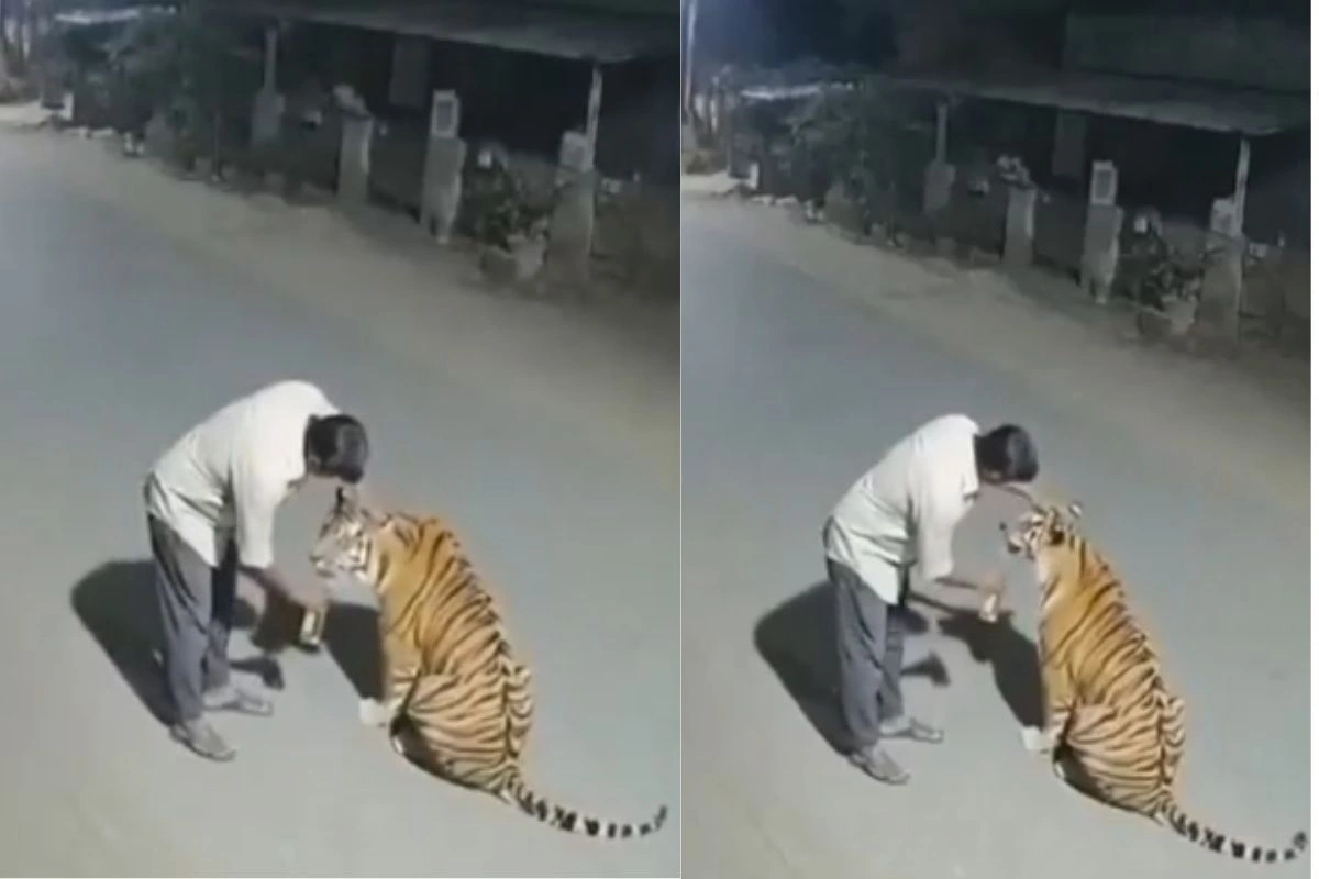 Viral Video Viral Video