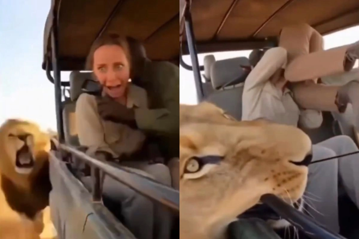 Viral Video Viral Video