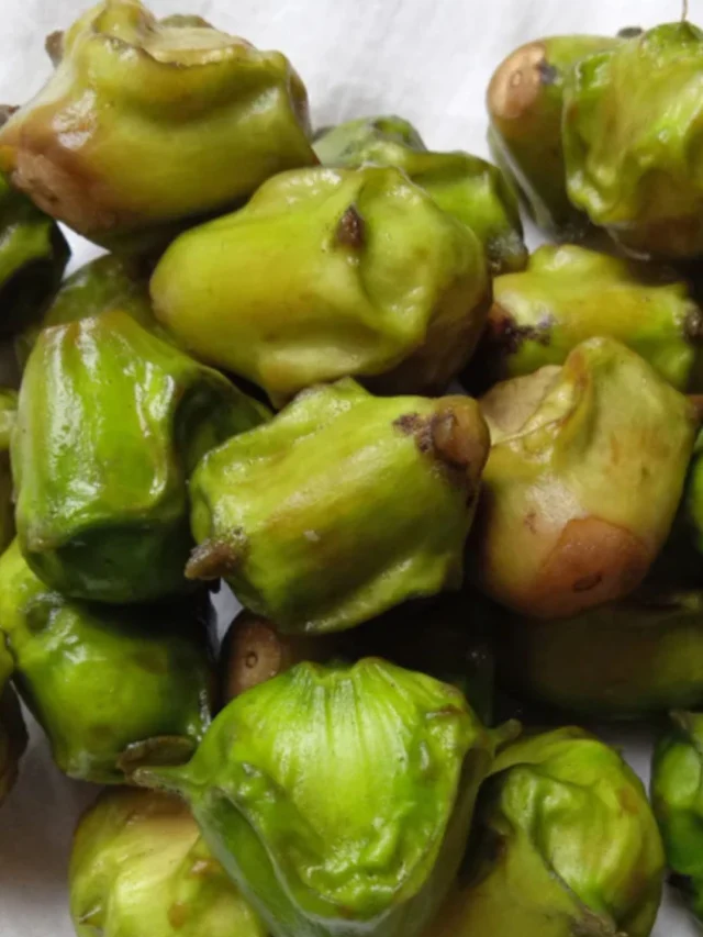 इन लोगों को भूलकर भी नहीं खाना चाहिए सिंघाड़ा