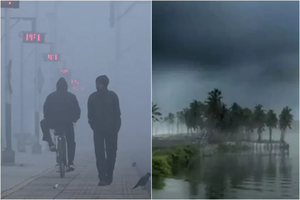 कल का मौसम 11 Nov 2025