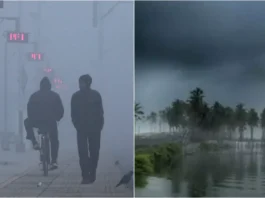 कल का मौसम 11 Nov 2025