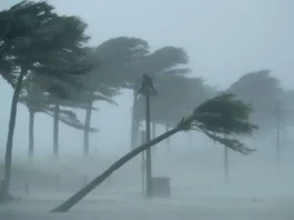 कल का मौसम 12 Nov 2025