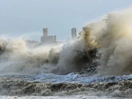 कल का मौसम 29 Nov 2025