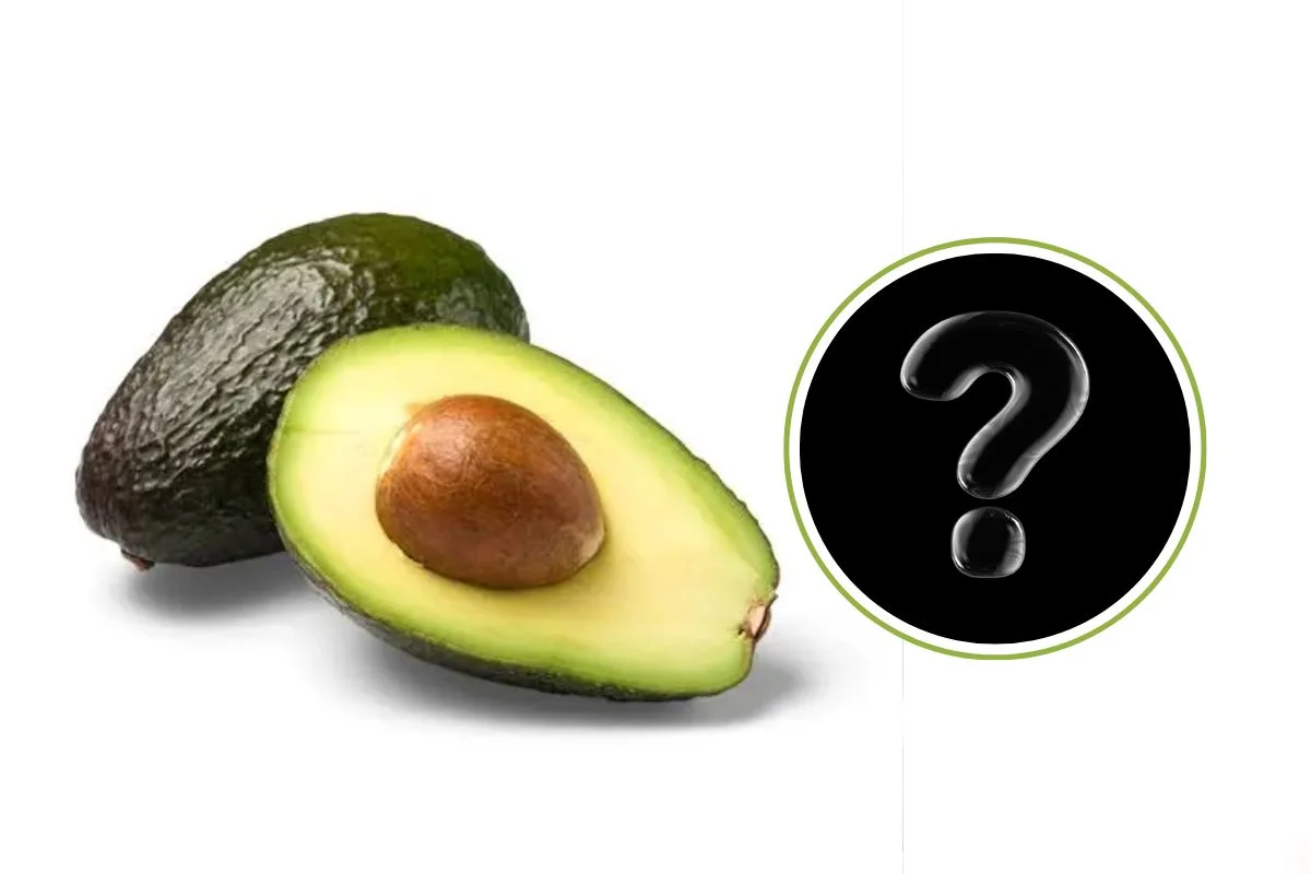 Amla Benefits Amla Benefits